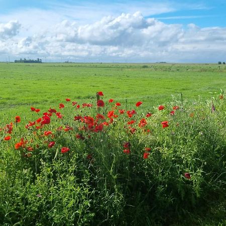 Lyklamastate Nijemirdum Екстериор снимка