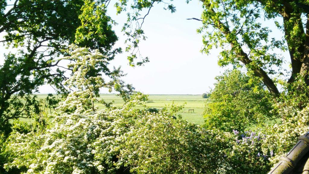 Lyklamastate Nijemirdum Стая снимка